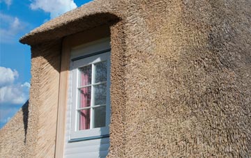 Llanteems thatch roof disadvantages